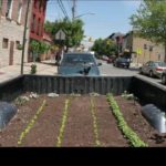 Let's Get Growing! Urban Farms Take to City Streets