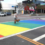 TheCityFix Picks, August 24: Rainbow Crosswalks, BMW Carsharing, Japanese BRT, Motivational Texting