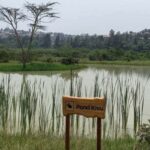 Restoring Kigali’s Wetlands to Accelerate Climate Resilience